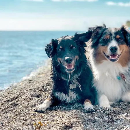 בית נופש Trollehus Steinberg (Schleswig-Holstein)