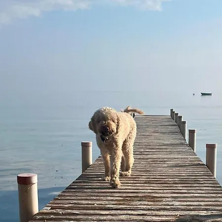Trollehus בית נופש *