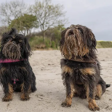 Trollehus בית נופש