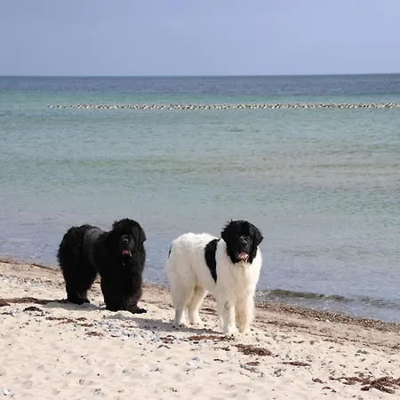 Trollehus * Steinberg (Schleswig-Holstein)